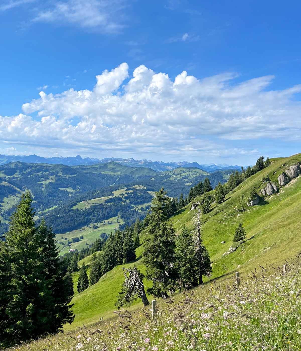 Sommer im Allgäu