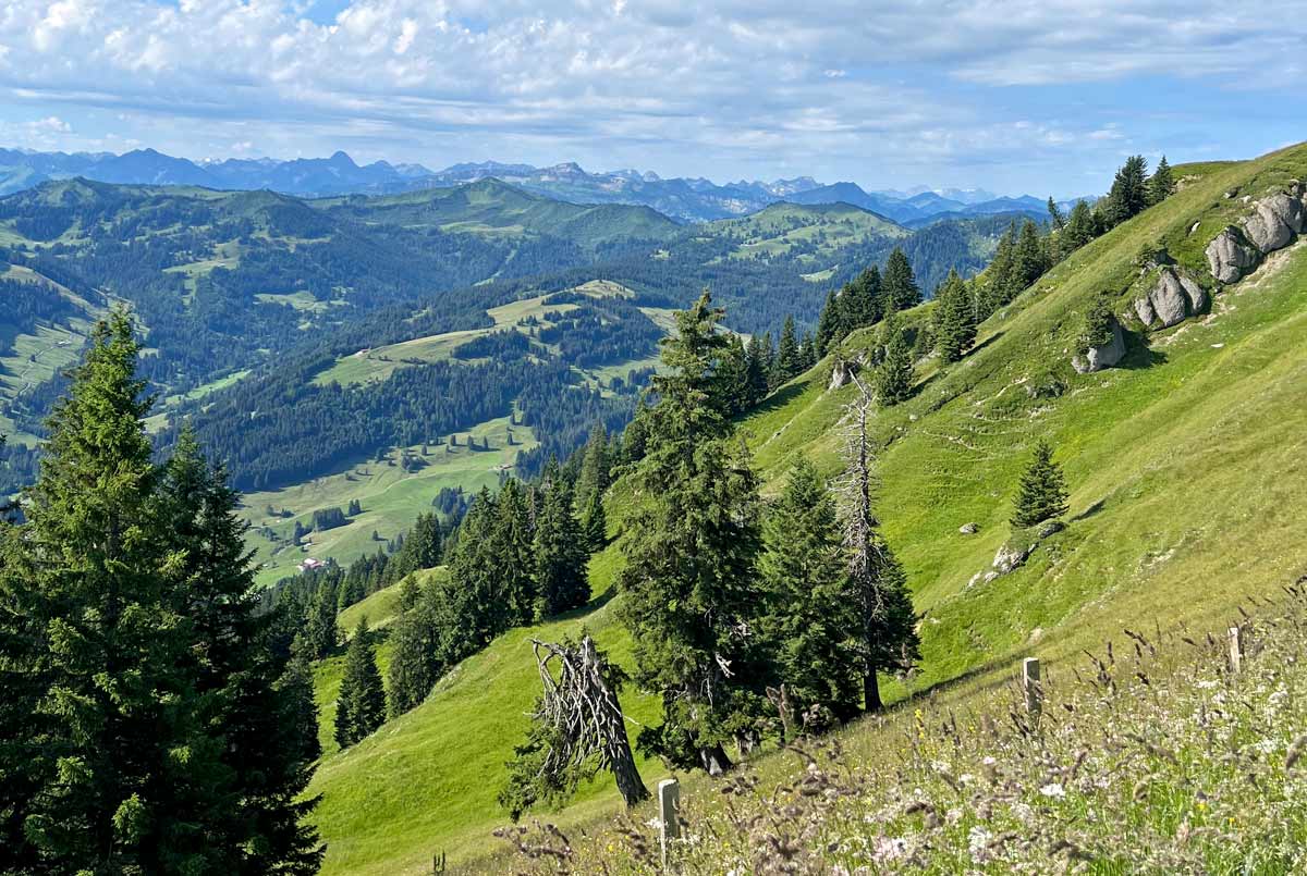 Sommer im Allgäu Ferienhof Durach Waltenhofen