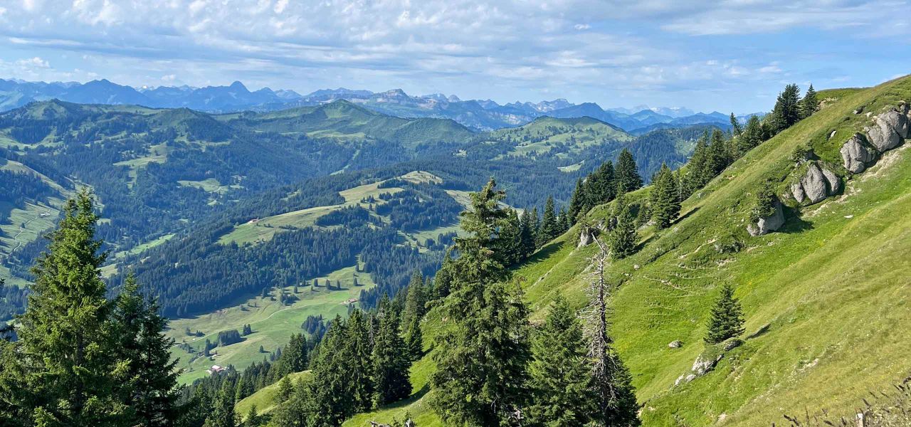 Sommer im Allgäu Ferienhof Durach Waltenhofen